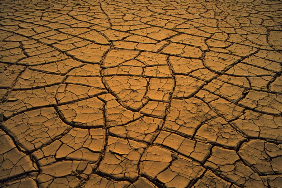 5 dicembre 2014: Giornata Mondiale del Suolo